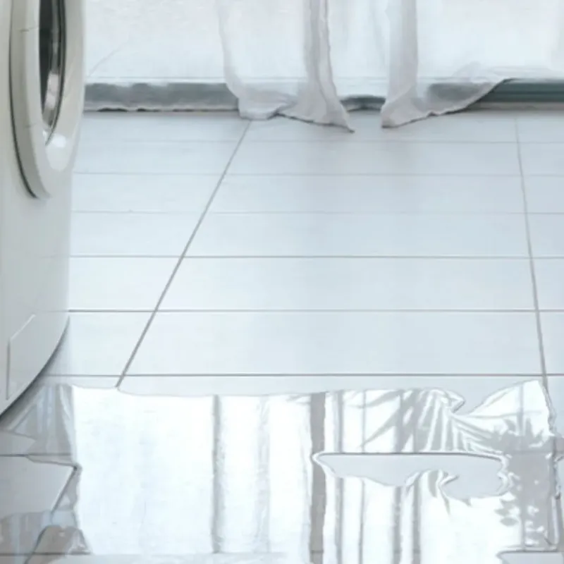 Appliance Leak Cleanup in Trousdale County, TN