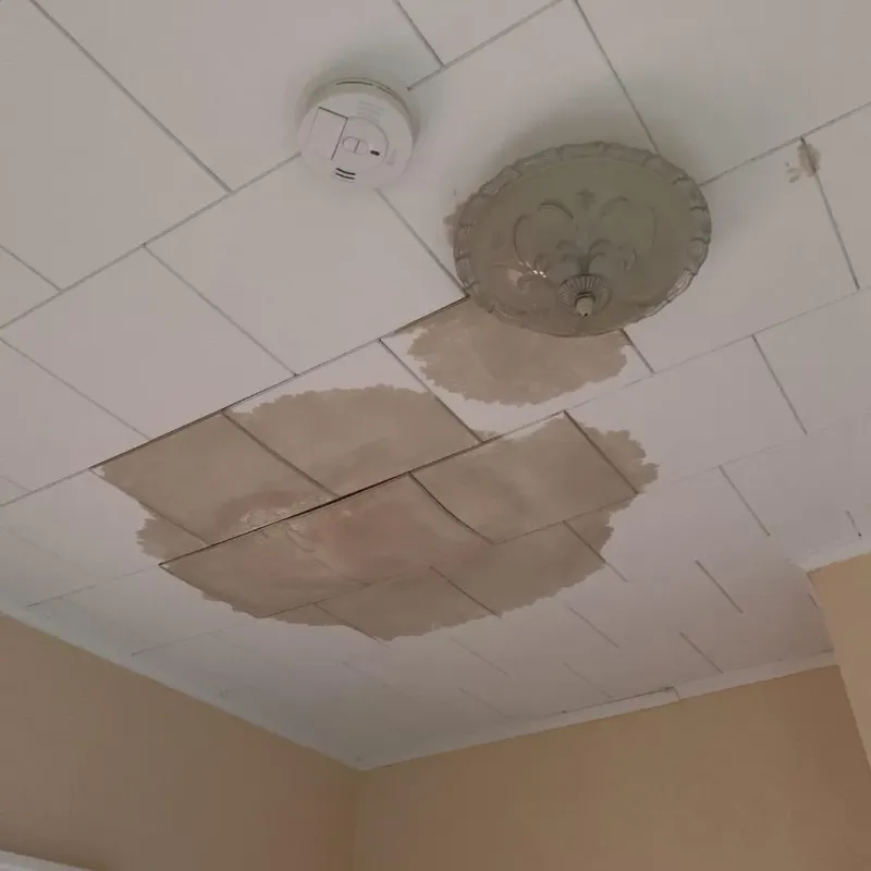 Ceiling Water Damage Repair in Trousdale County, TN