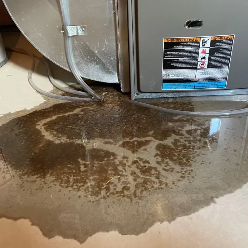 Pipe Burst and Leak Restoration in Trousdale County, TN