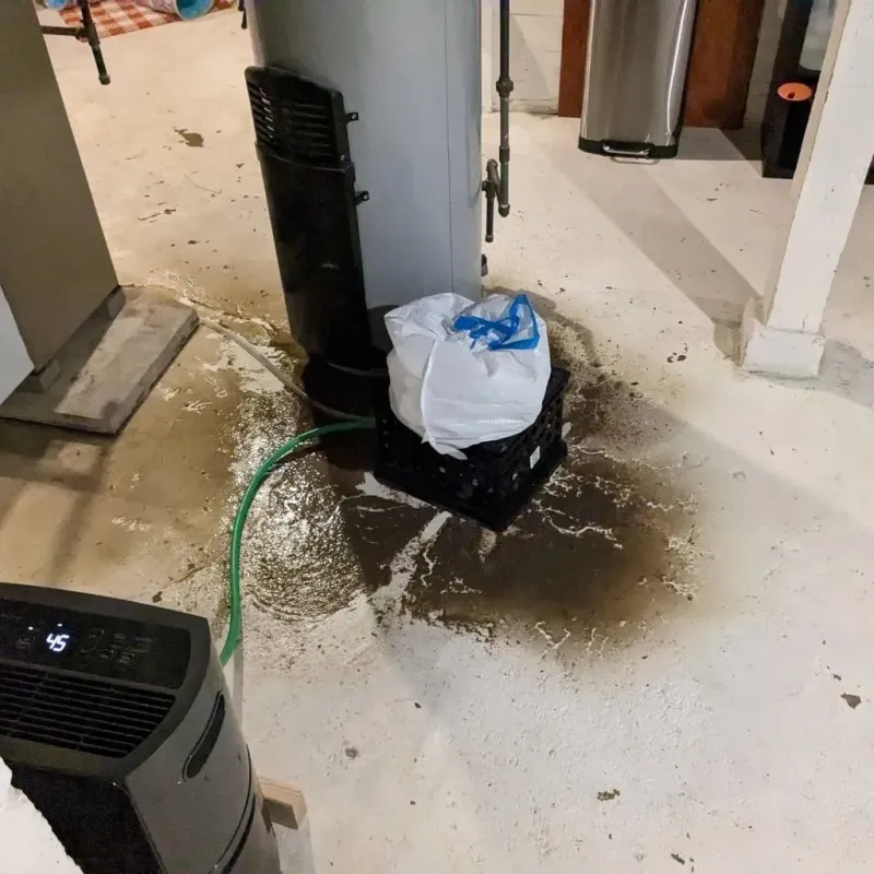 Sewage Backup Cleanup Service in Trousdale County, TN